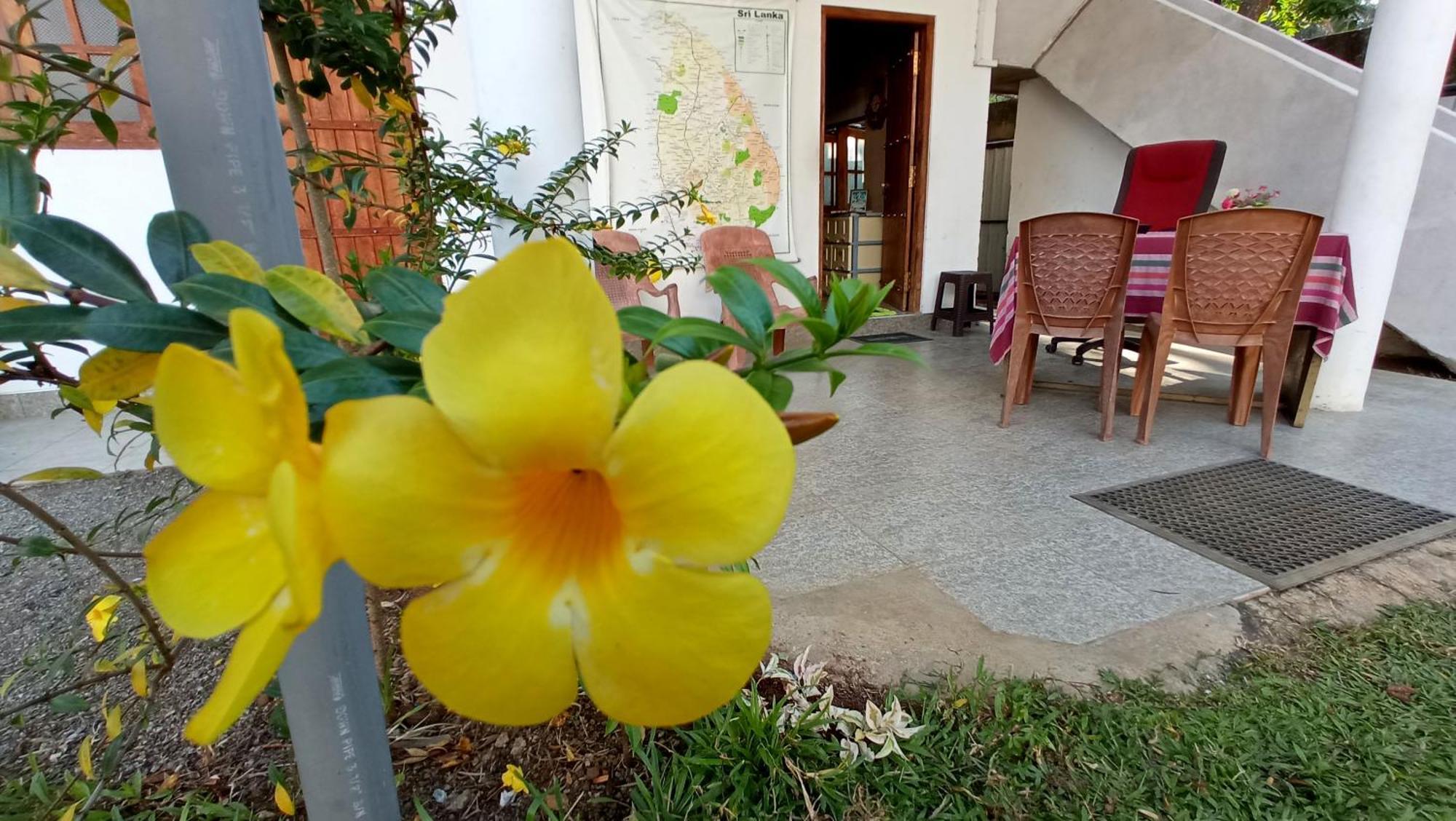 Family Resort Udawalawe Kültér fotó